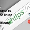 GeoTrust SSL Certificate