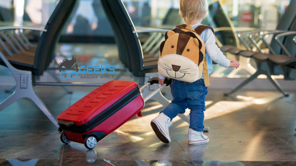 The most effective method to choose the Best Travel Bag for Baby