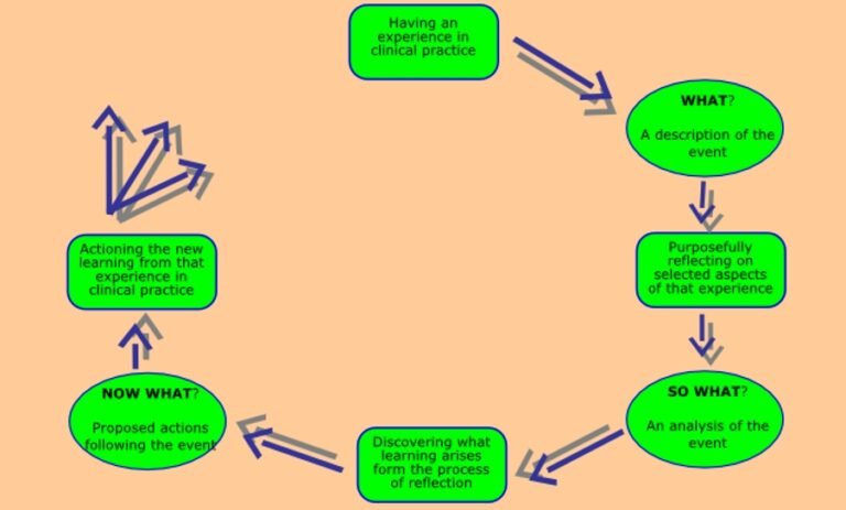 Everything you need to know about Driscoll model of reflection