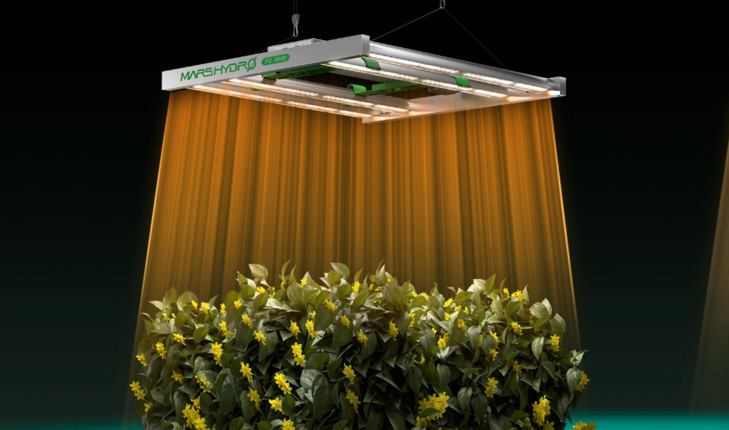 Types of LED grow lights and their efficiency in indoor farming